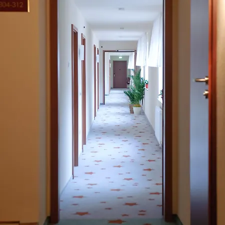Stadthotel Stern Hotel 4*