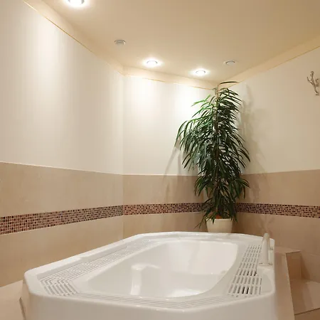 Otel Stadthotel Stern