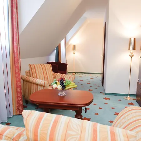 Stadthotel Stern ホテル